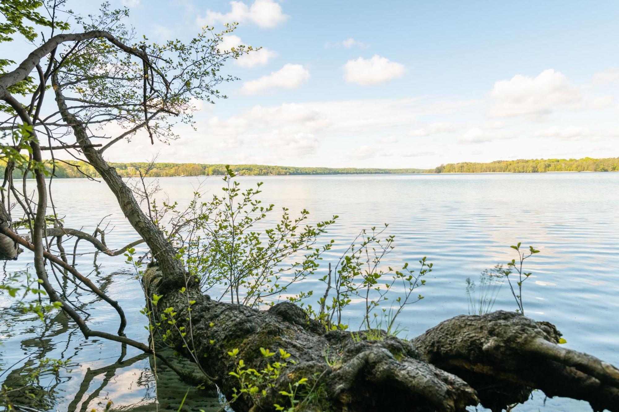 Budget Seezeit-Resort Am Werbellinsee Altenhof  Zewnętrze zdjęcie